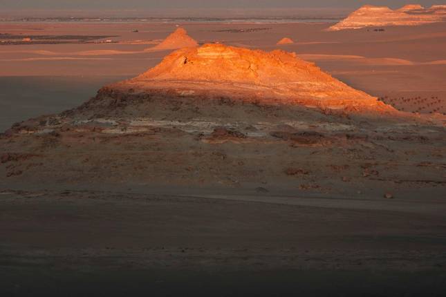 Oases and Desert Dreams